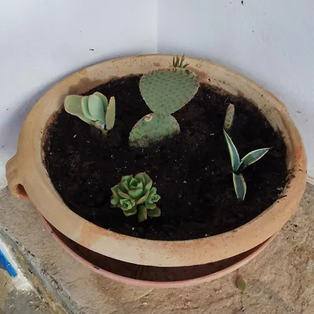 Hébergement de vacances Serenity Maisonnette