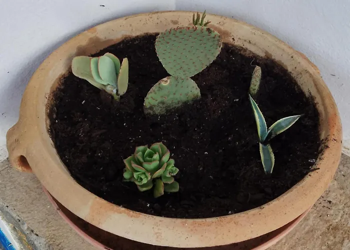 Σπίτι διακοπών Serenity Maisonnette